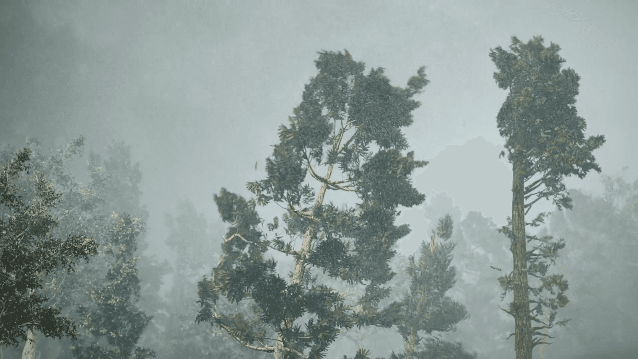 Volumetric velocity field driving photorealistic tree simulation in Houdini